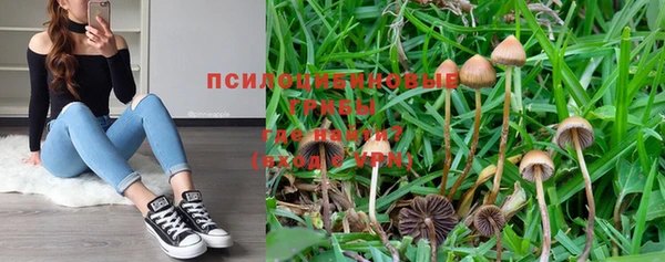 мяу мяу кристалл Каменка